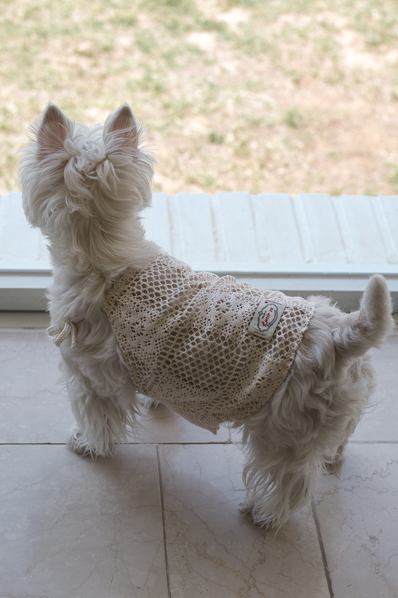 Dogi Cotton crochet t-shirt (cream)